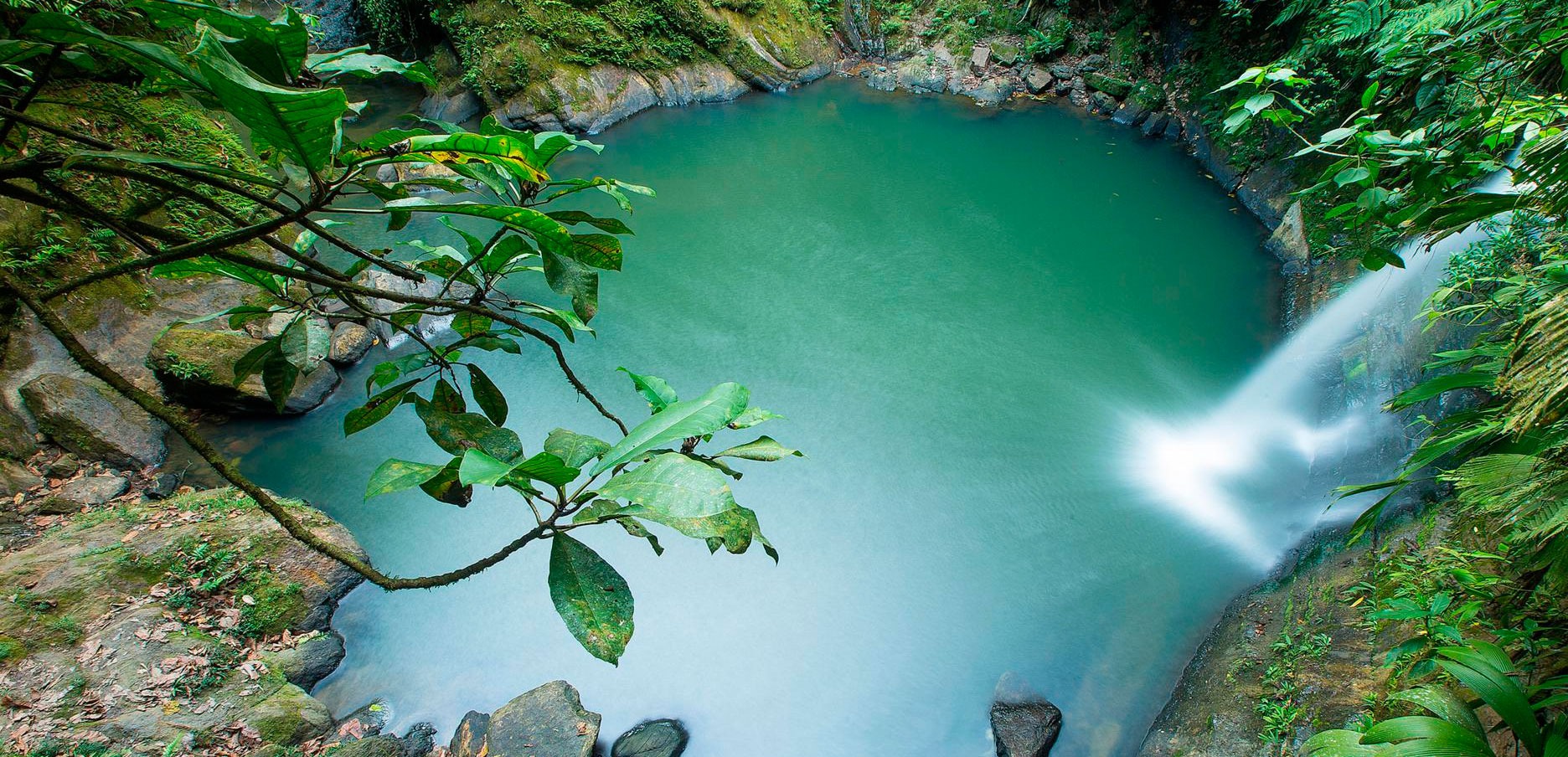 Cascadas de Carpishuyacu + Pishurayacu + Termales de San José