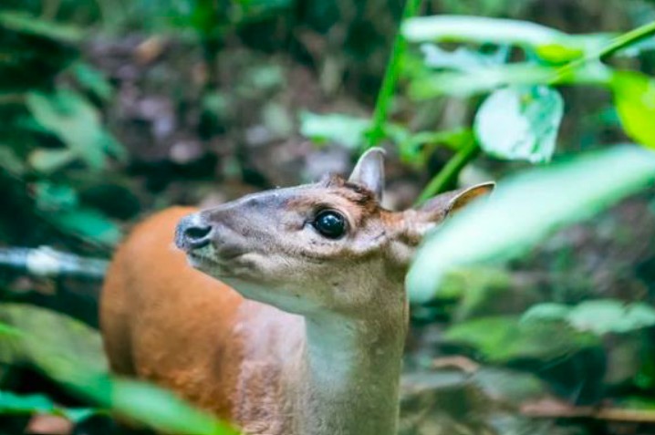Galería Tarapoto El Paraíso Existe